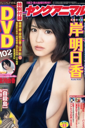 [Young Animal] 2014 No.11 岸明日香 倉持由香 [18P]