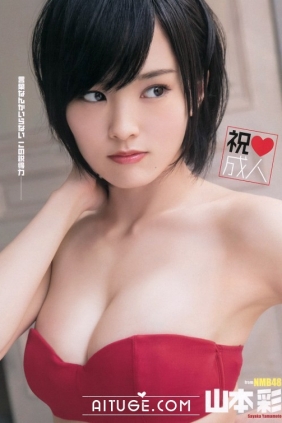 [Young Animal] 2014 No.03 山本彩 後藤郁 [14P]