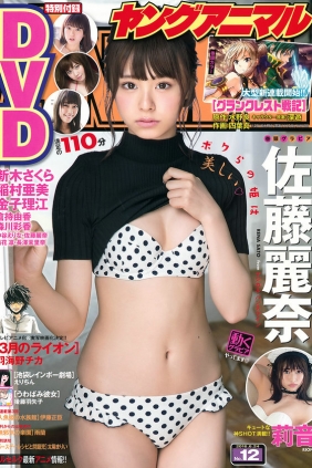 [Young Animal] 2016 No.12 佐藤麗奈 莉音 [17P3V]